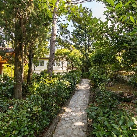 Apartmani "Ostro" Crikvenica Kraljevica Εξωτερικό φωτογραφία
